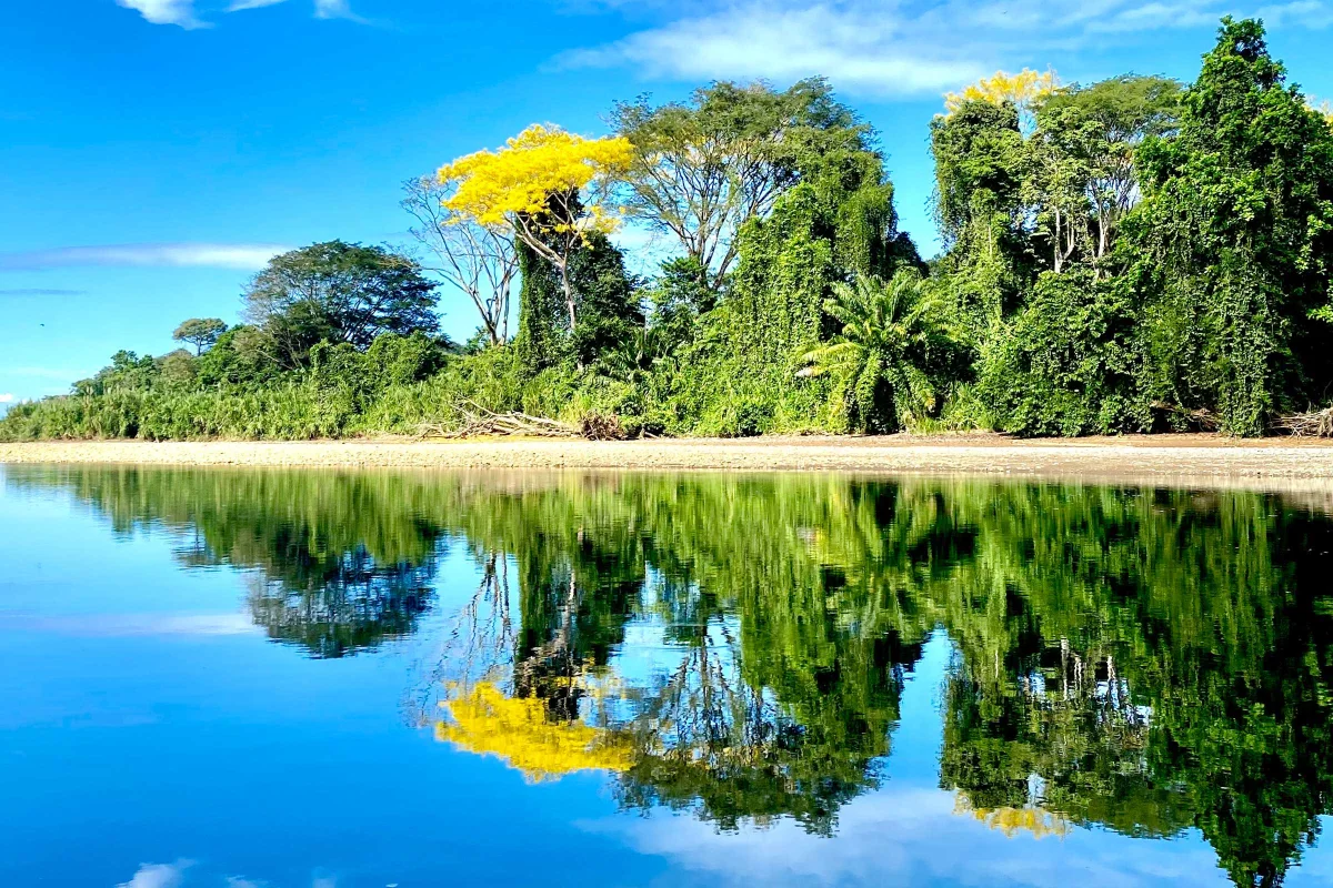 Best places to stay in Dominical, Costa Rica