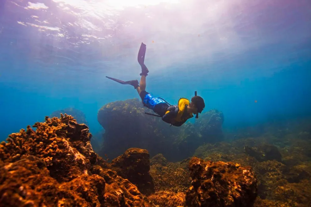 Snorkel & Dive at Caño Island