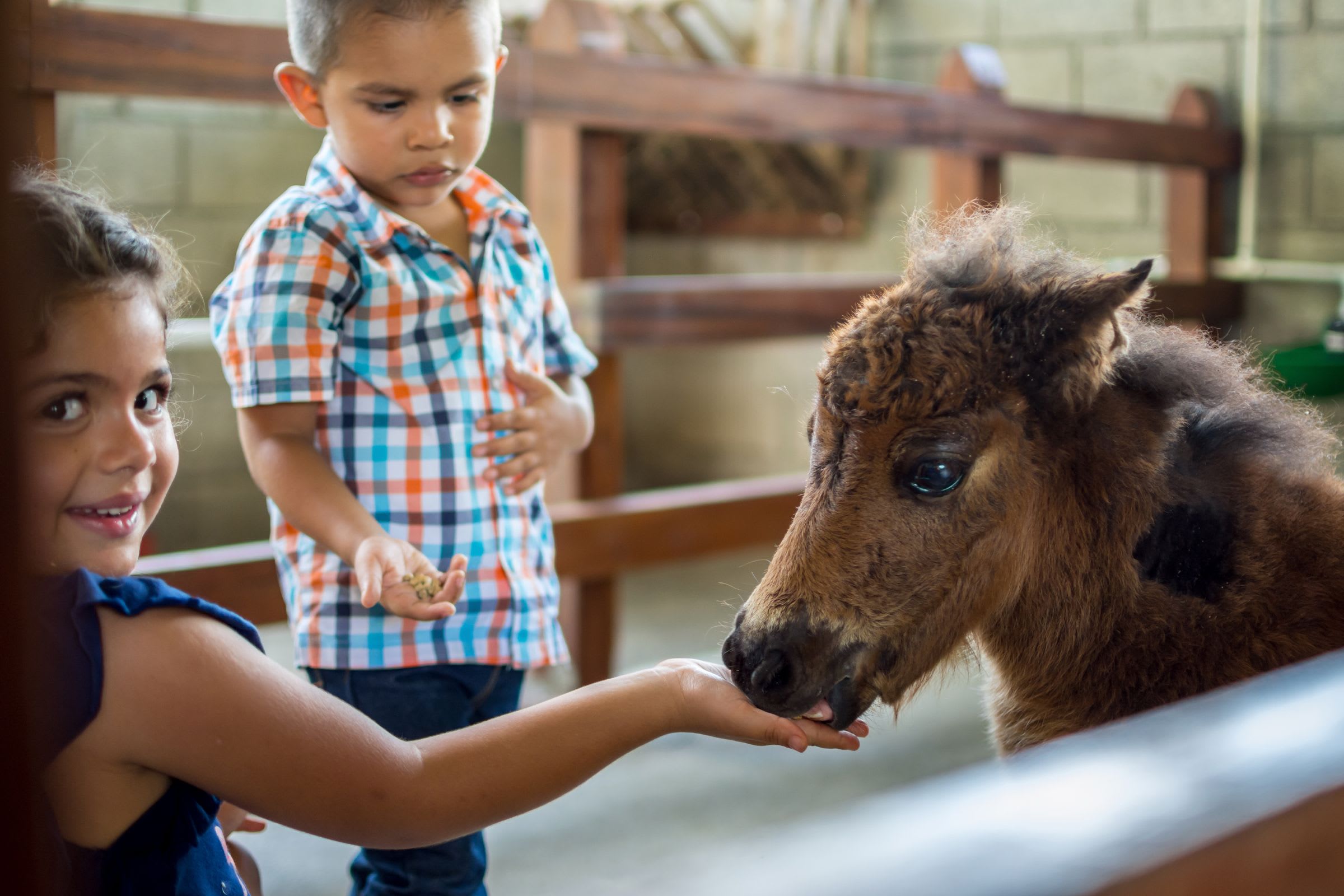 Best Volunteer Programs in Costa Rica