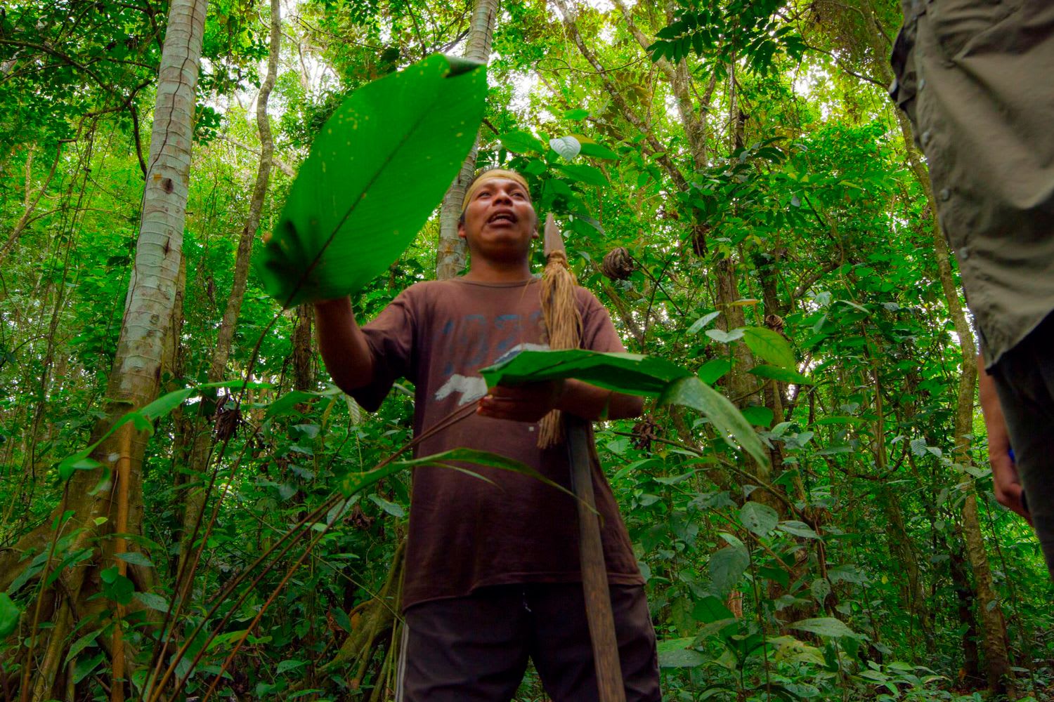 What to Expect During and After an Ayahuasca Ceremony in Costa Rica