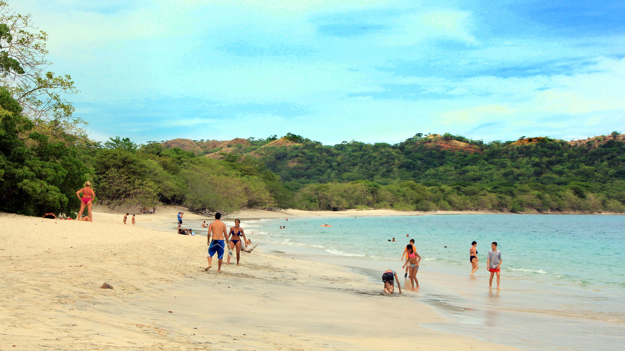 Wildlife and Nature in Conchal Beach