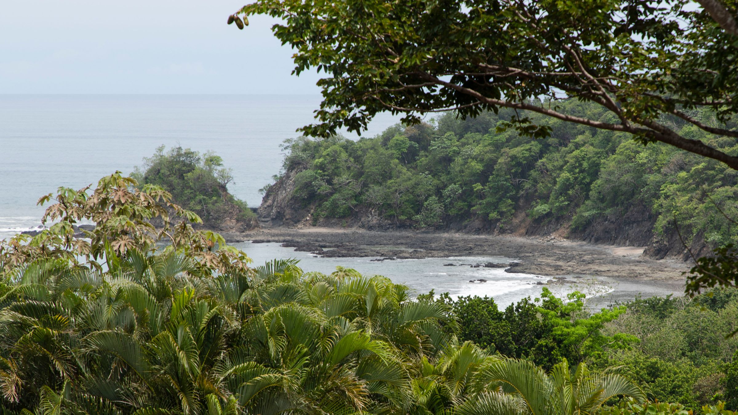 Best Time To Travel to Punta Islita