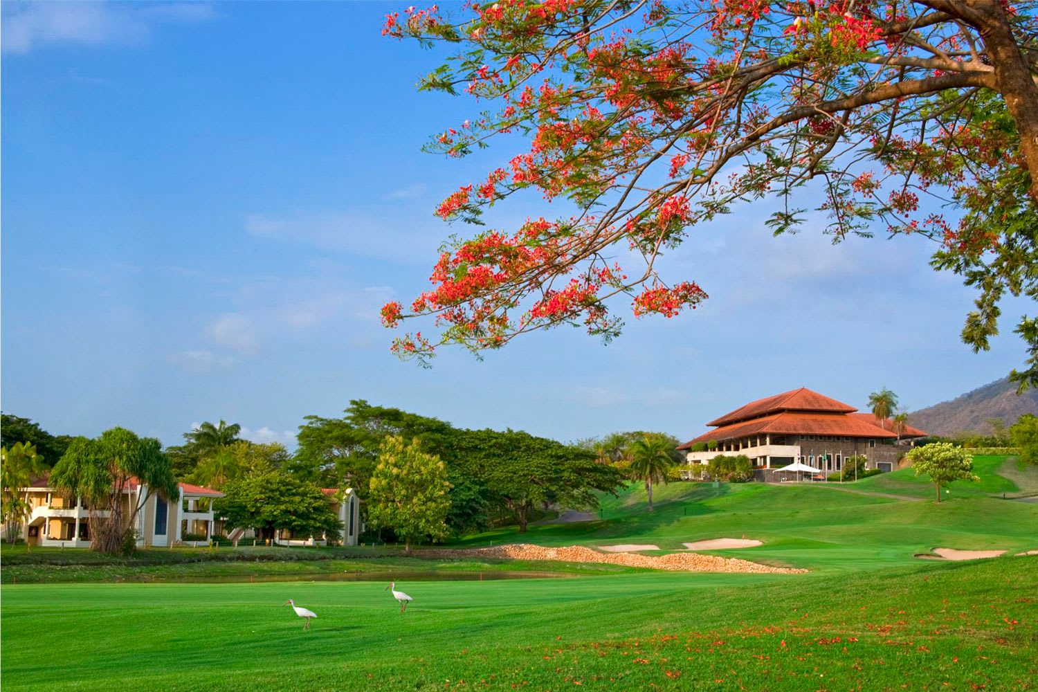 Reserva Conchal Golf Course