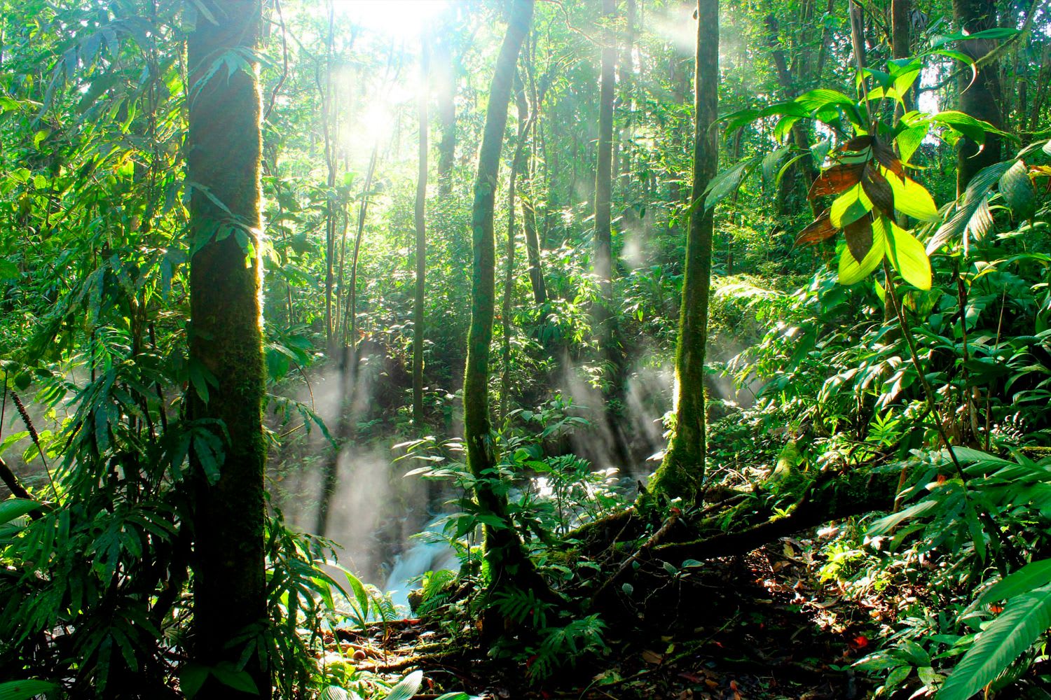 How to Get to Rincon de la Vieja