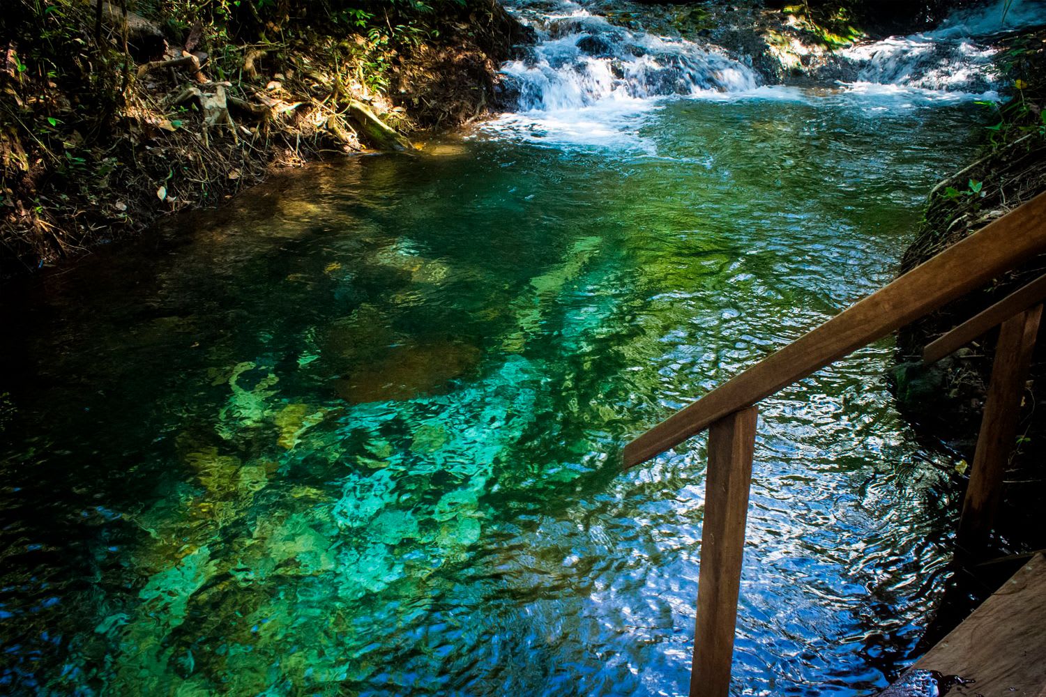 A Secluded and Unique National Park