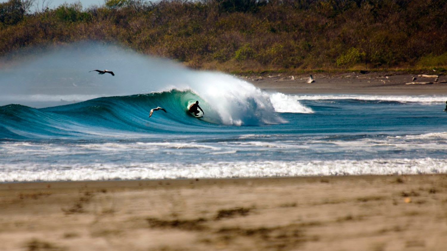 Most Popular Areas for Fitness Retreats in Costa Rica