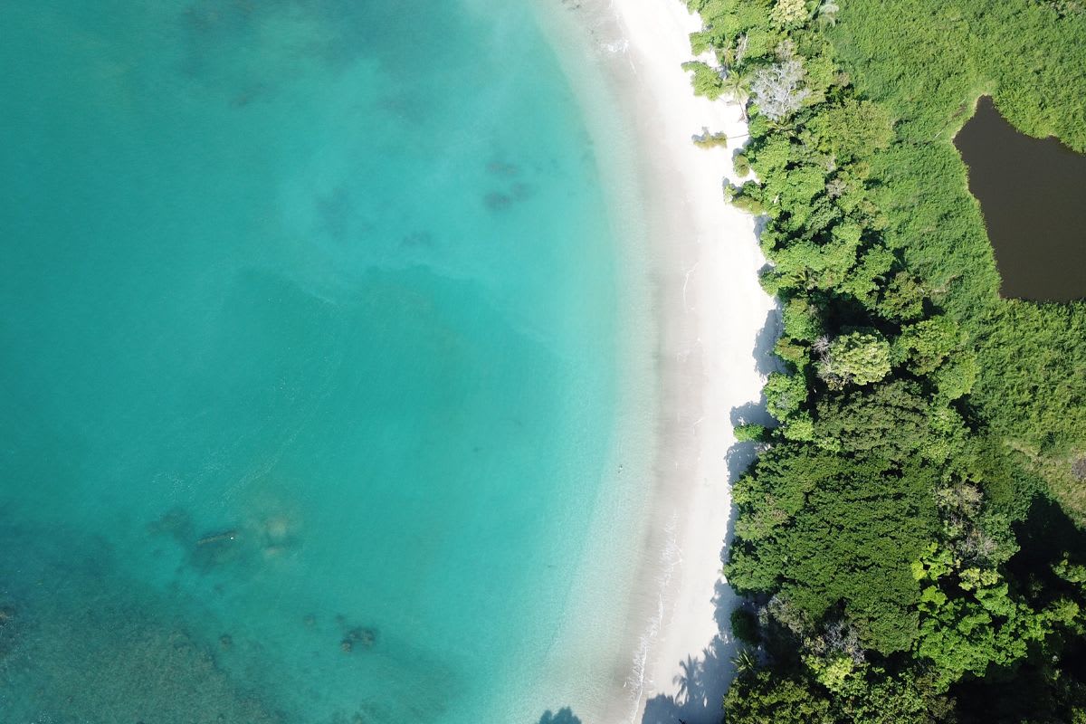 Types of Hotels and Rentals in Manuel Antonio