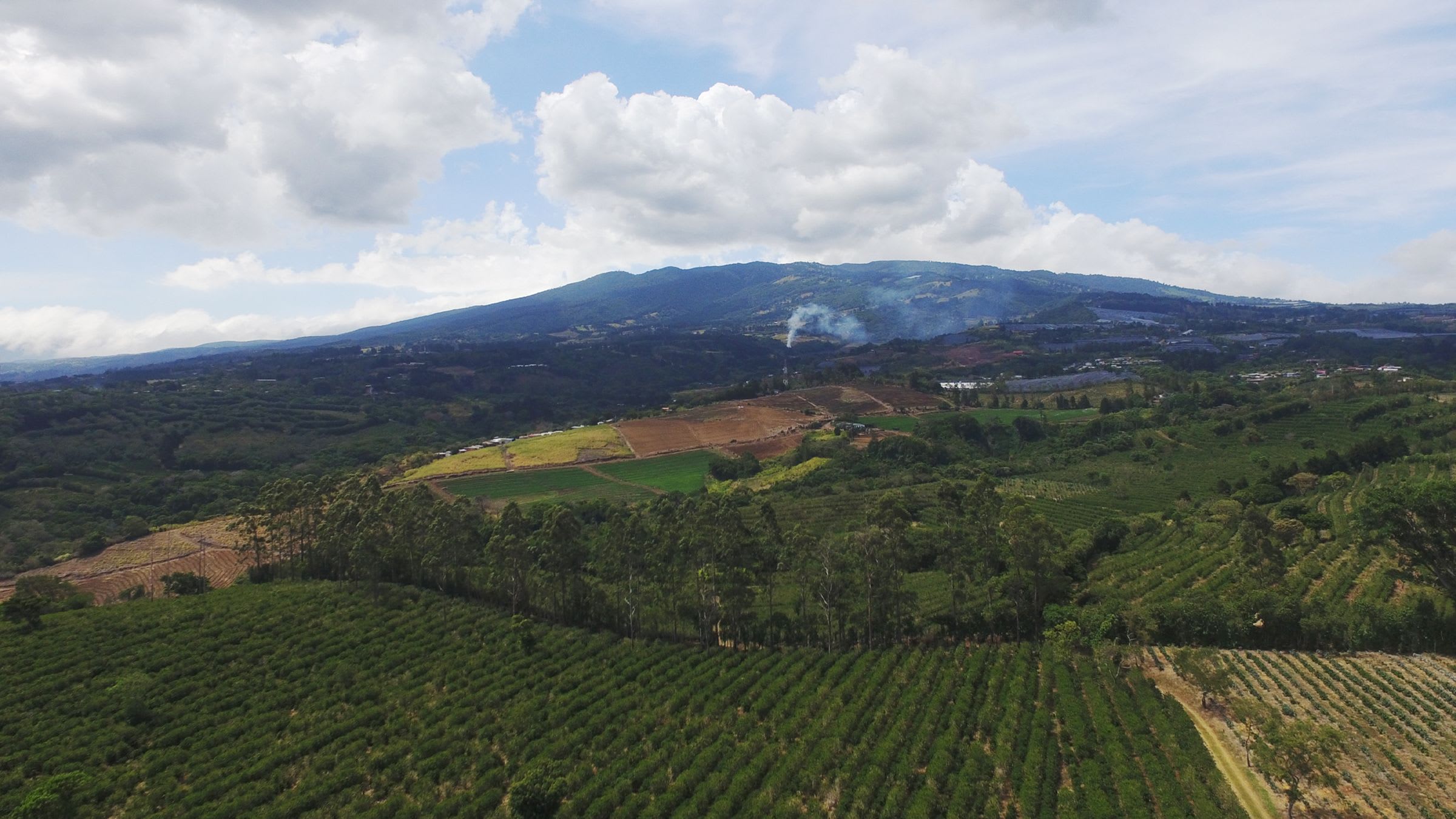 Challenges and Considerations: The Real Scoop on Life in Costa Rica's Agrihoods