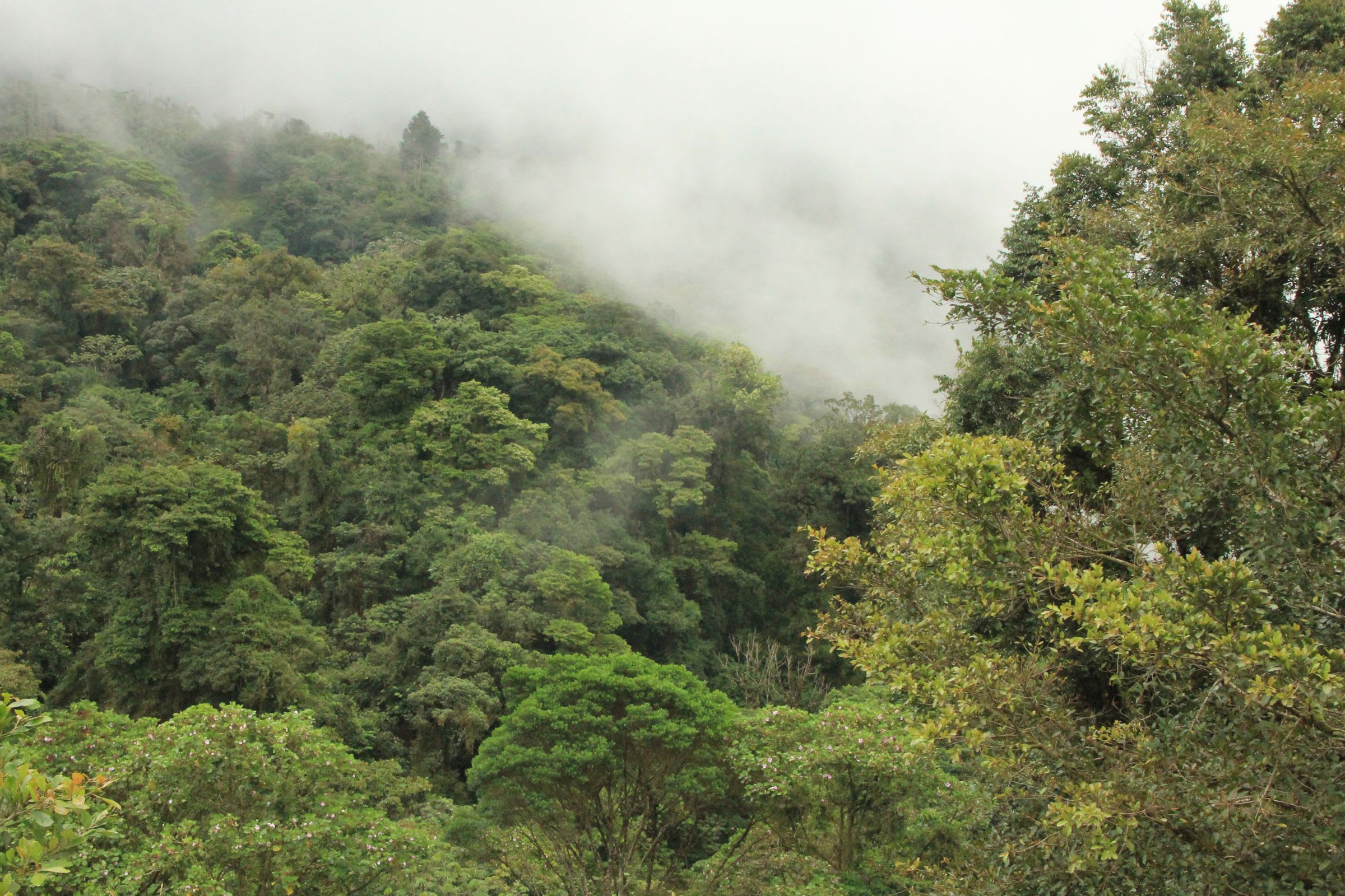 Discover Secluded Waterfalls and Forests