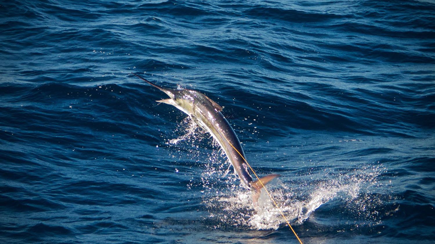 The Weather in Playa Herradura / Los Sueños