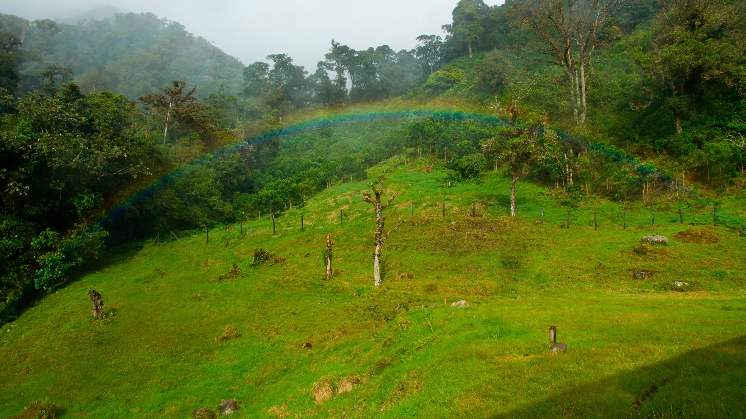 A Taste of the True Rural Costa Rica