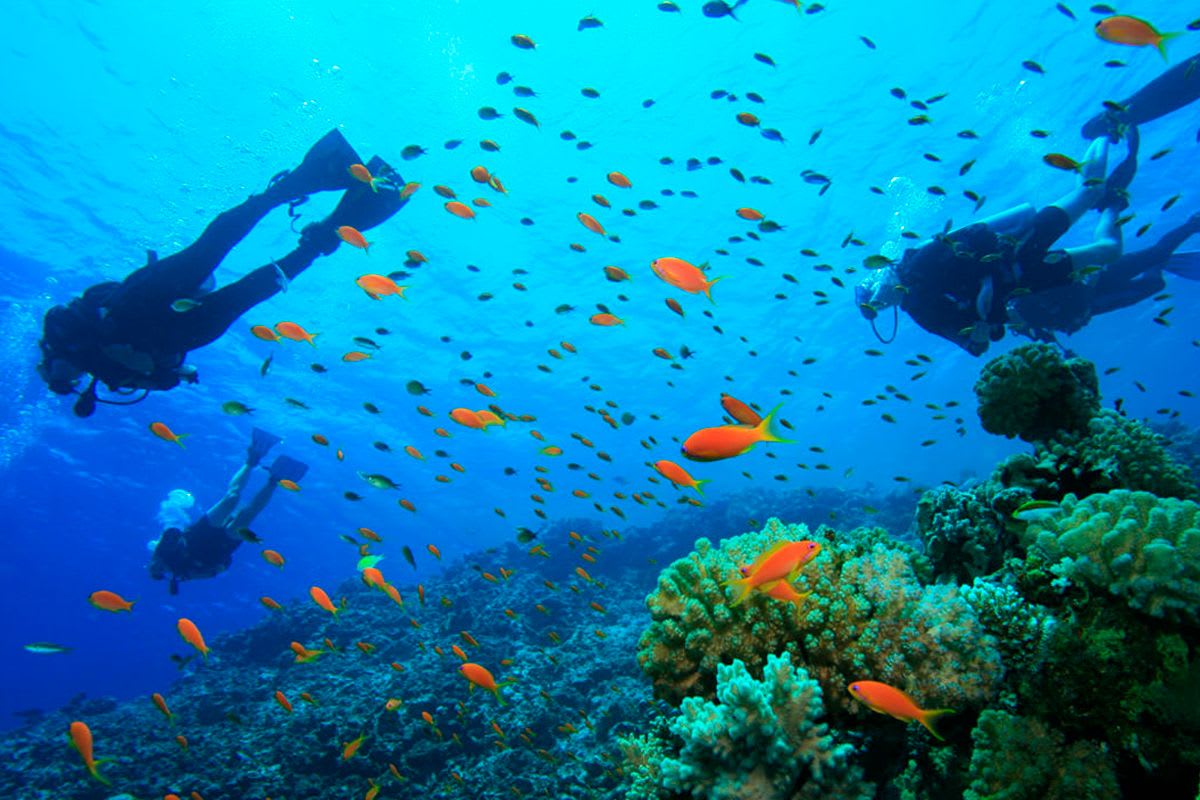 17. Scuba Diving
