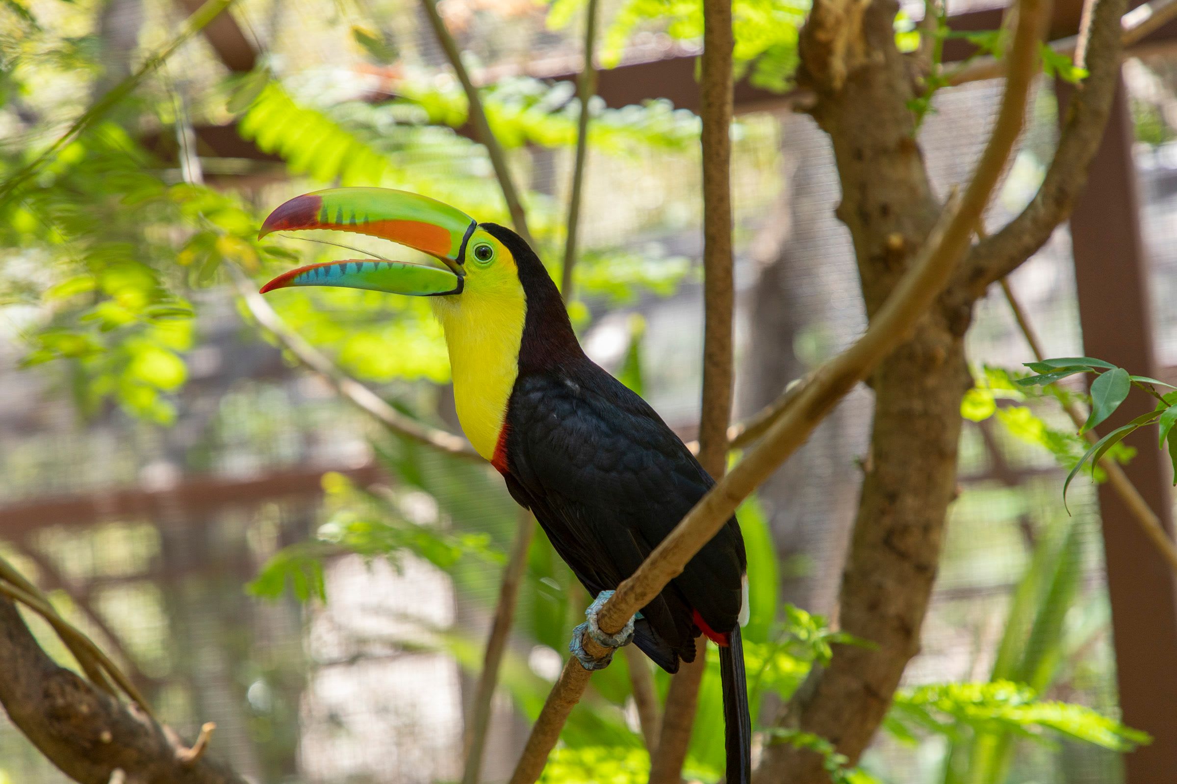 Wander Where The Locals Go