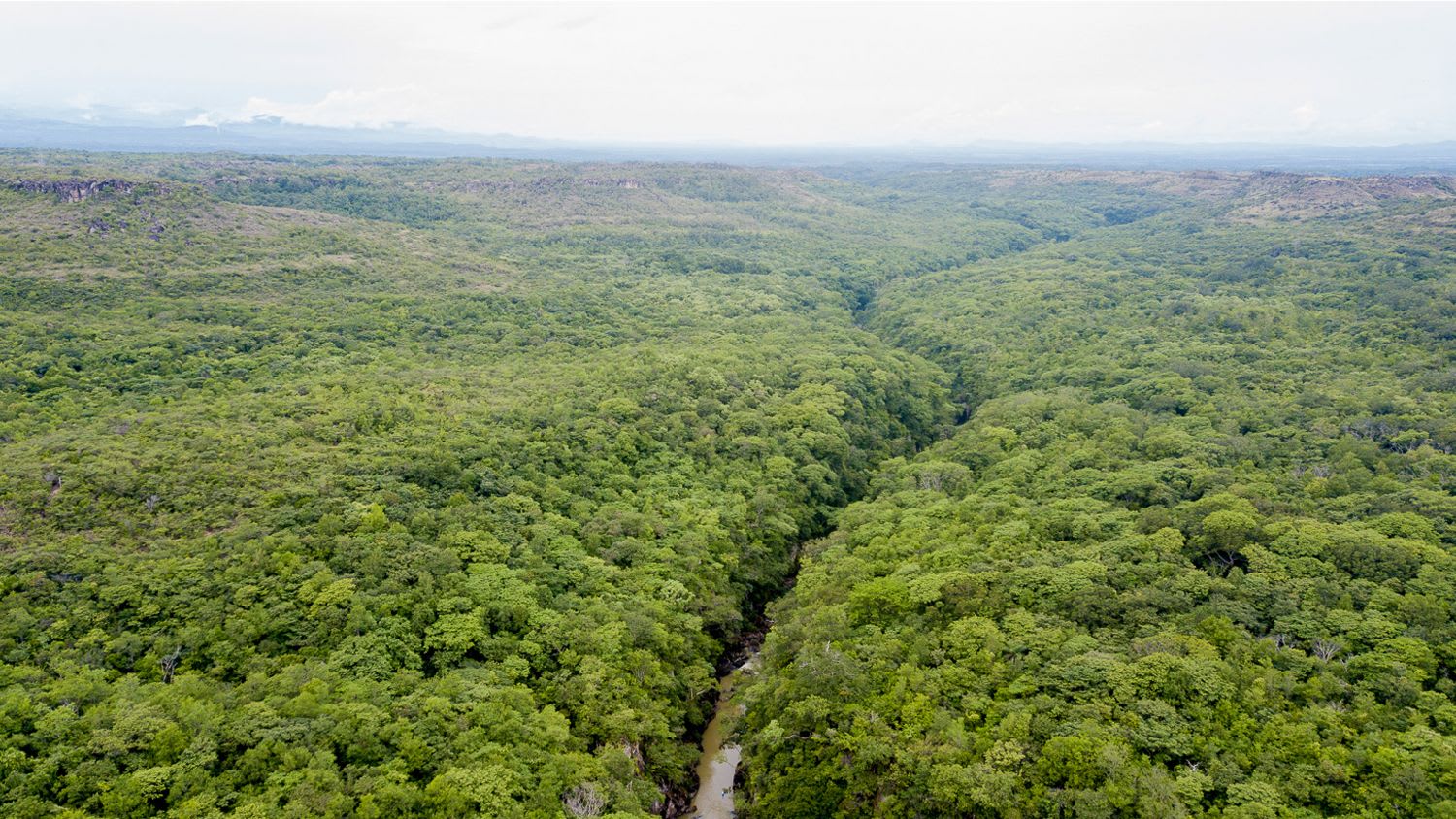 What You Need to Know about Bagaces and Rio Perdido