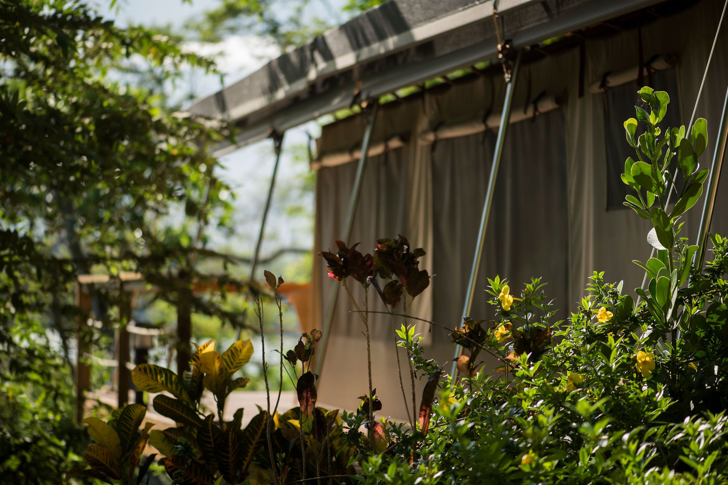 Welcome to Isla Chiquita