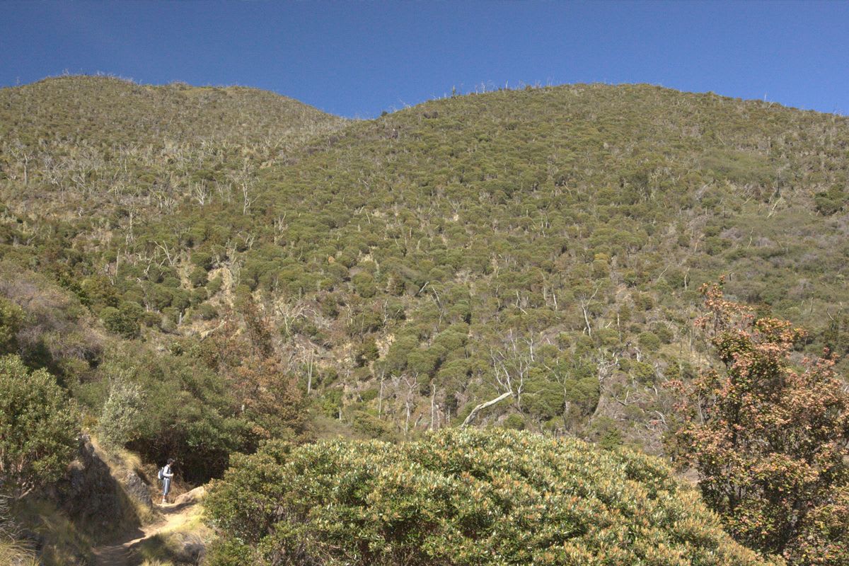 Hiking in Costa Rica’s Paramo: A Landscape of Opportunities