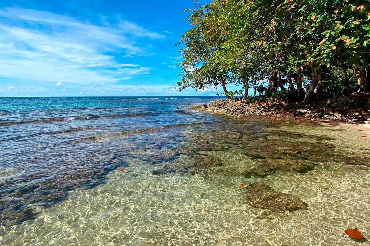 Human Impact on Coral Reefs