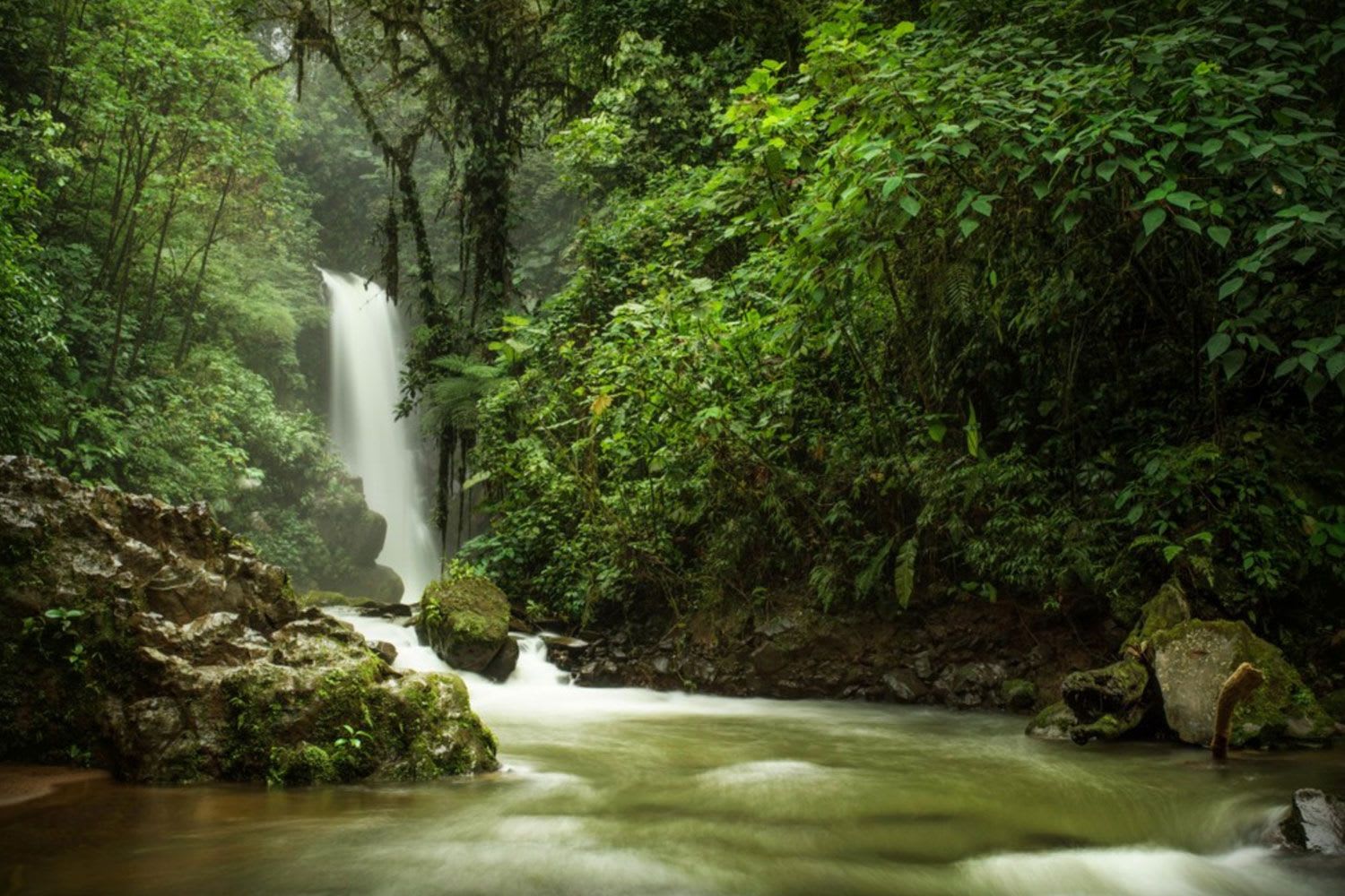 La Paz Waterfall