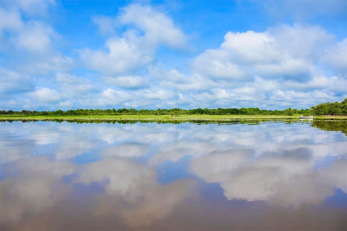 b. Wetlands