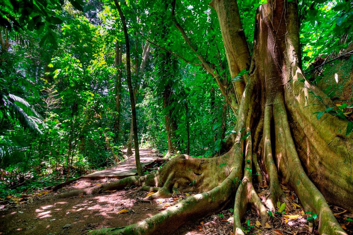 What to Expect at a Costa Rican Fitness Retreat