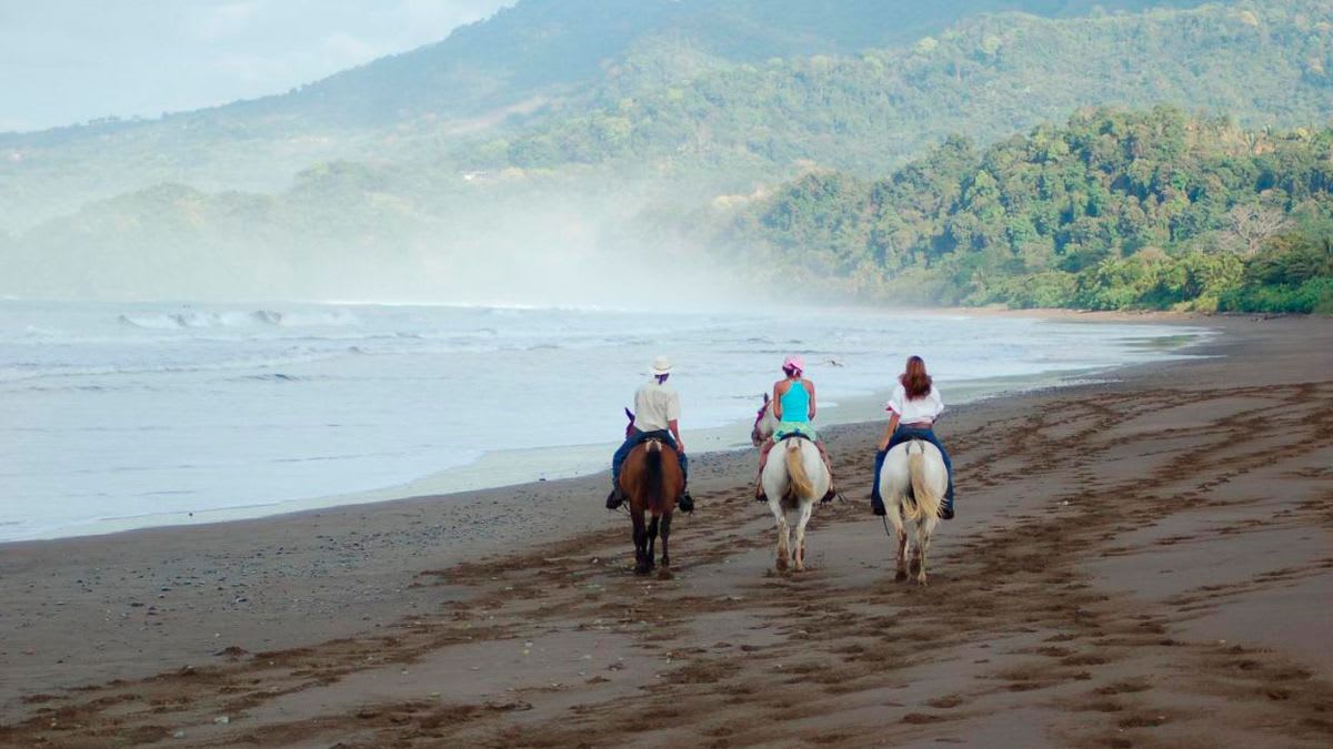 Top Restaurants in Dominical