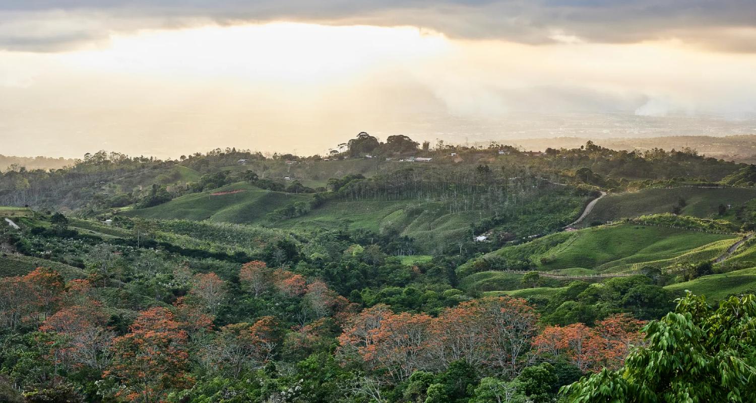 Our Favorite Places To Stay in San Isidro