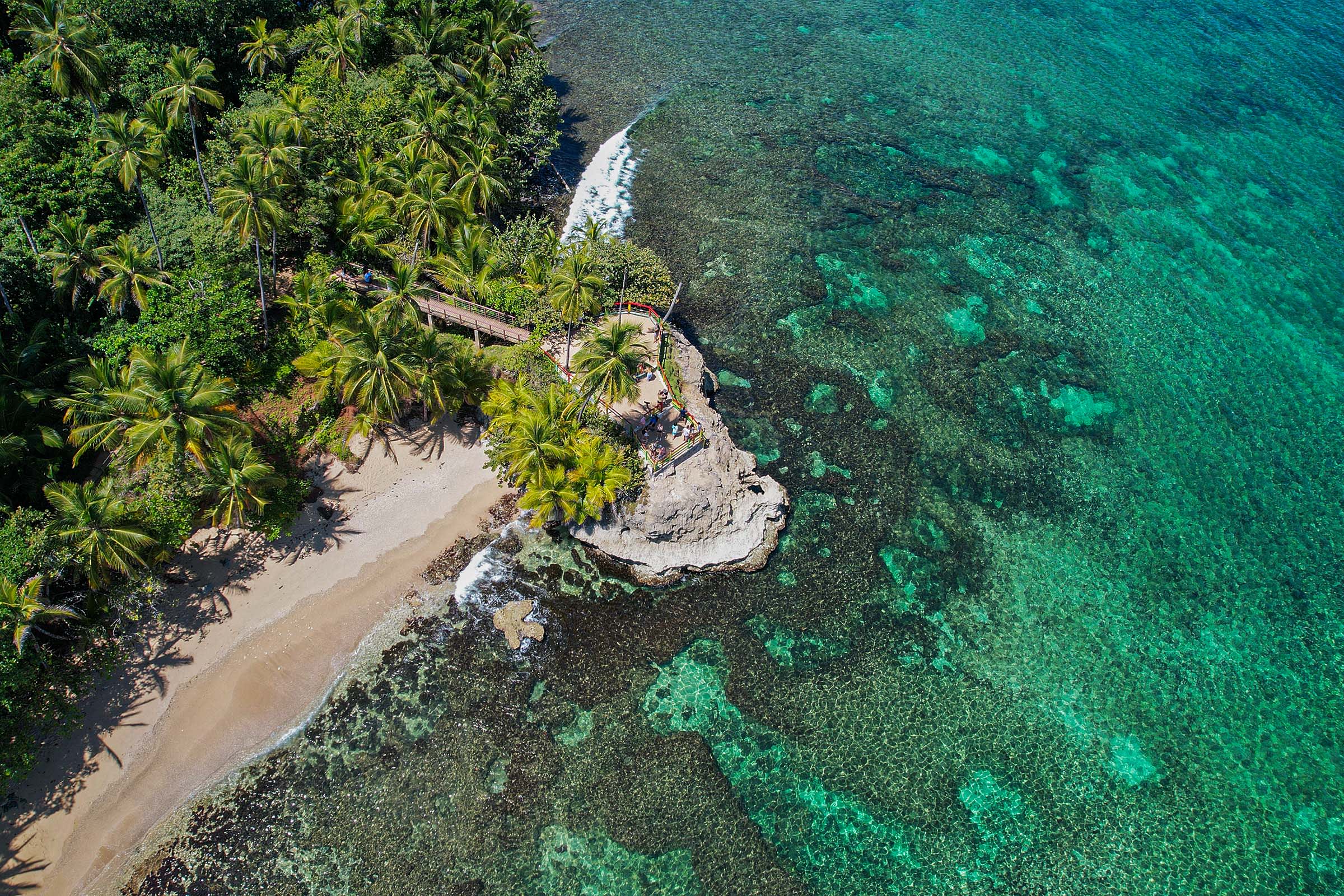 Tropical Wildlife & Crystal-Clear Waters