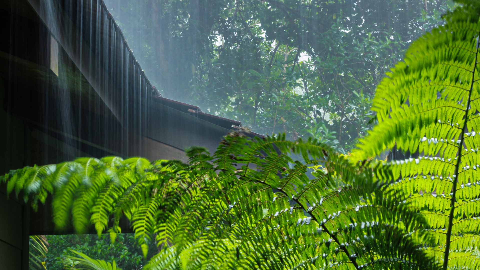 Costa Rica in September: Outdoor Activities and Blissful Rainy Afternoons