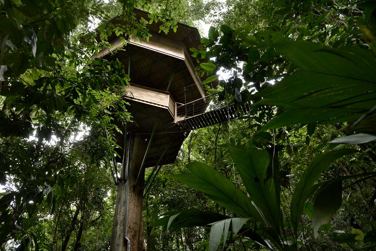 Southern Zone Tree House Hotels