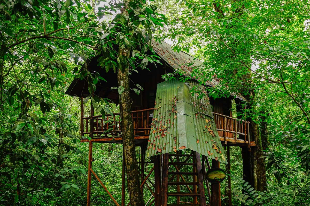 Arenal Volcano Area Tree House Hotels
