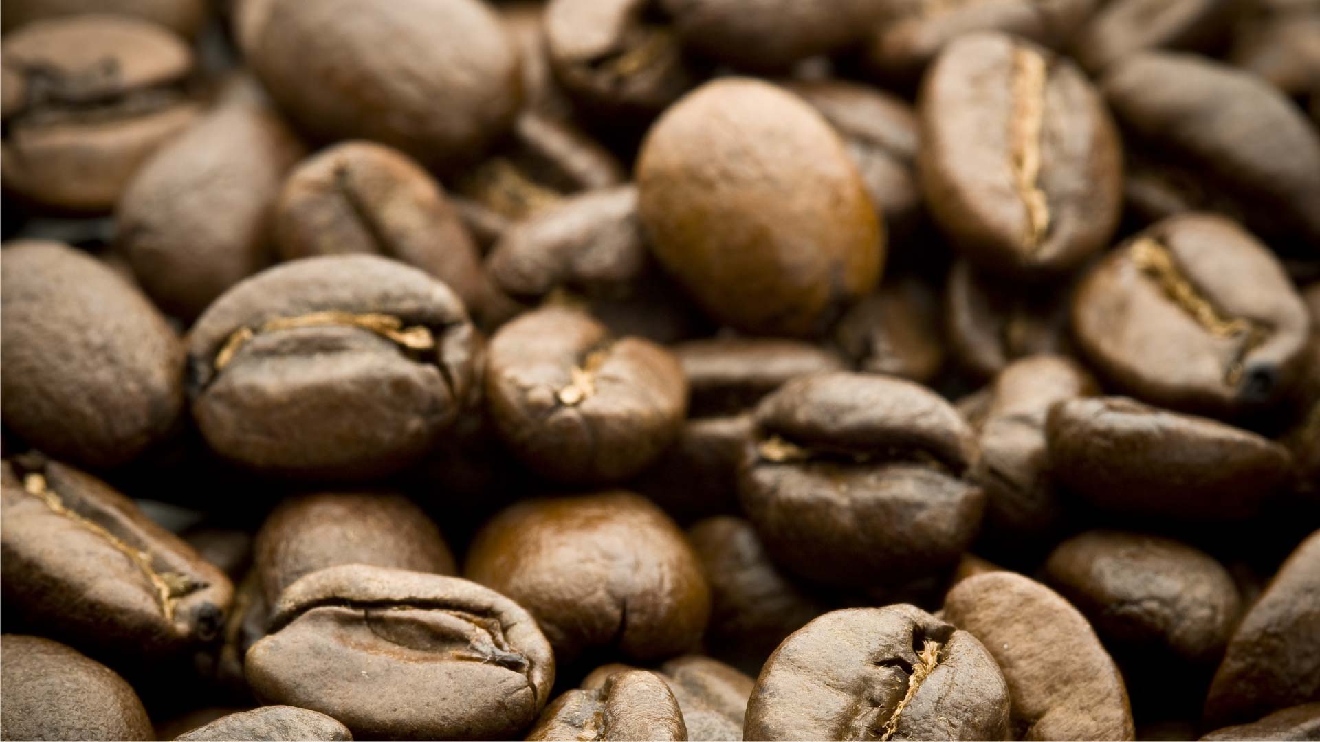 Preserving a Culinary Tradition