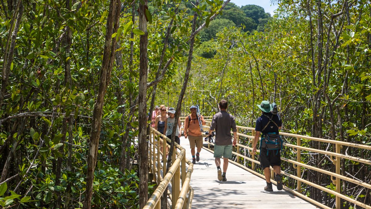 Wrapping Up Your Accessible Costa Rica Adventure