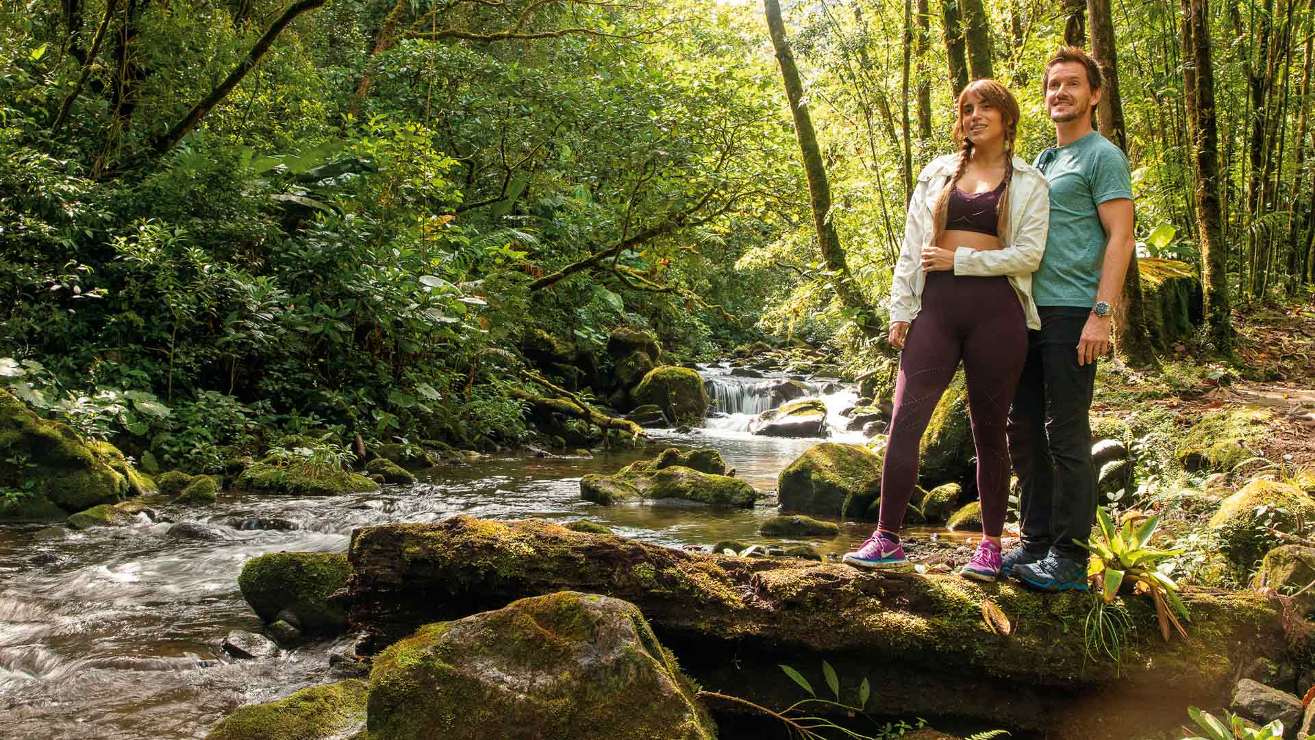 Waterfalls Hidden in the Peaceful Cloud Forest
