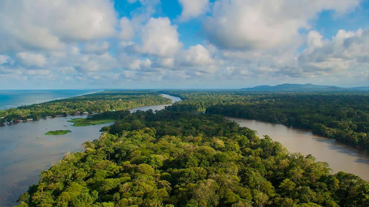 Tortuguero: A Wildlife Wonder