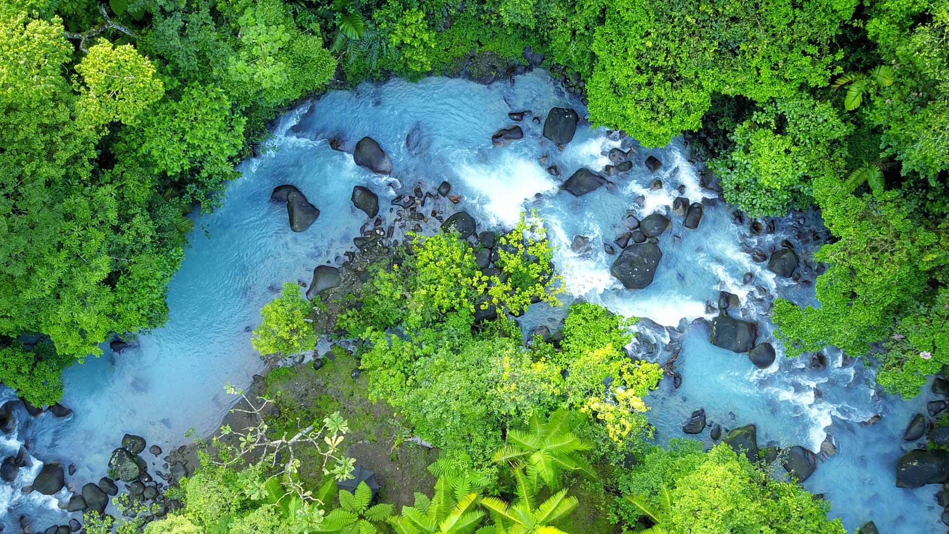 Bajos del Toro vs Río Celeste