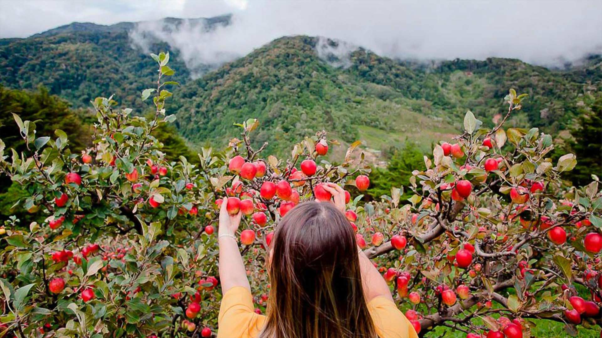 Expert’s Advice: Explore Costa Rica Like a Local