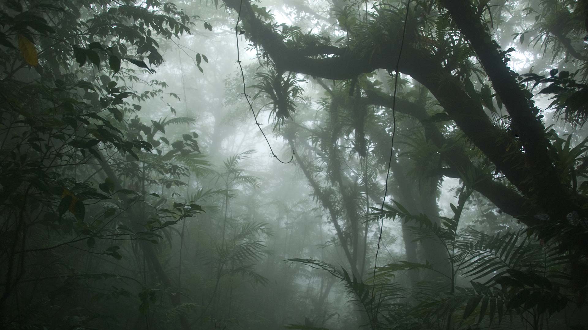 Bajos del Toro vs Monteverde