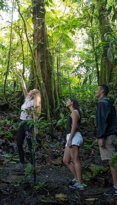 Costa Rica Travel Agency