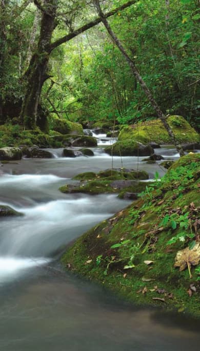 Costa Rica Travel Agency