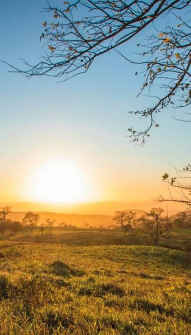 Costa Rica Travel Agency
