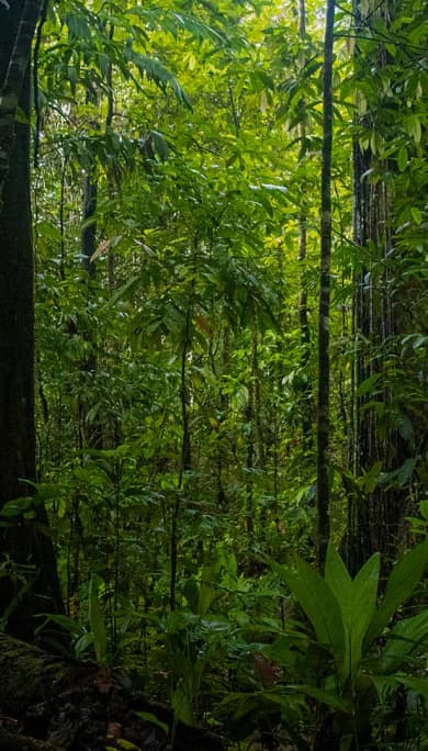 Costa Rica Travel Agency