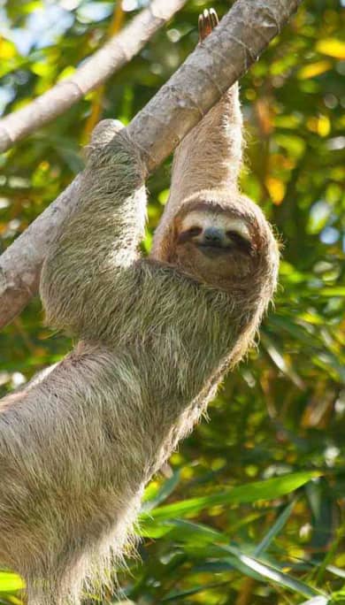 Costa Rica Travel Agency