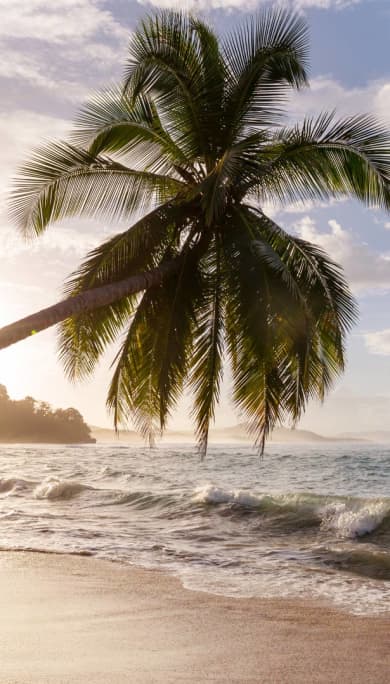 Costa Rica Travel Agency