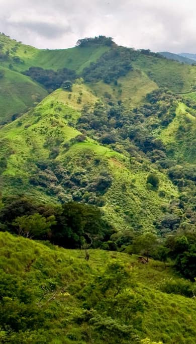 Costa Rica Travel Agency