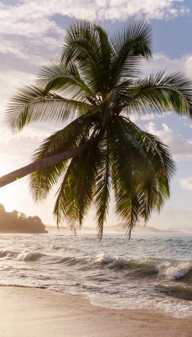 Costa Rica Travel Agency
