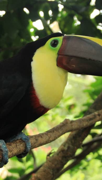 Costa Rica Travel Agency