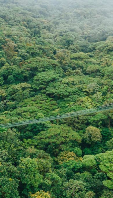 Costa Rica Travel Agency