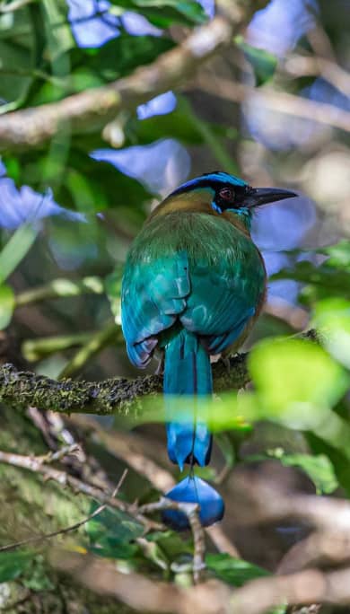 Costa Rica Travel Agency