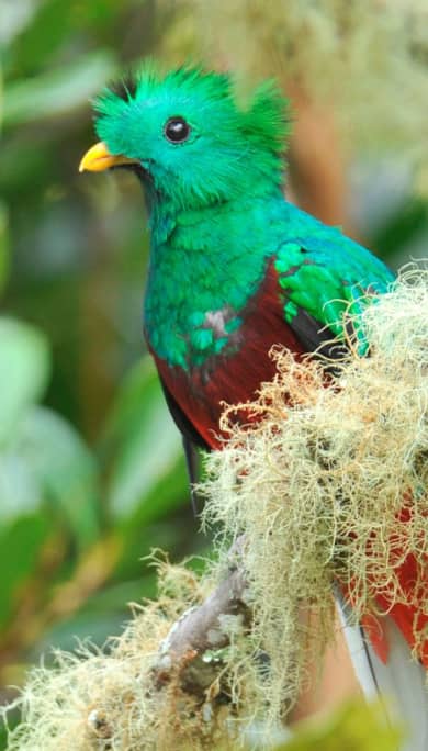 Costa Rica Travel Agency