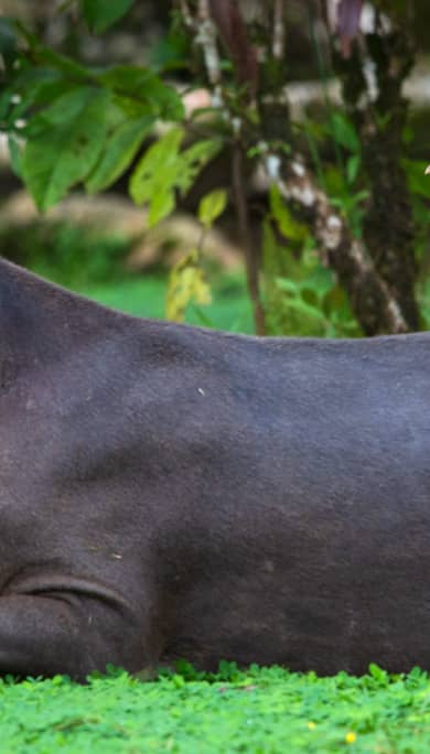 Costa Rica Travel Agency